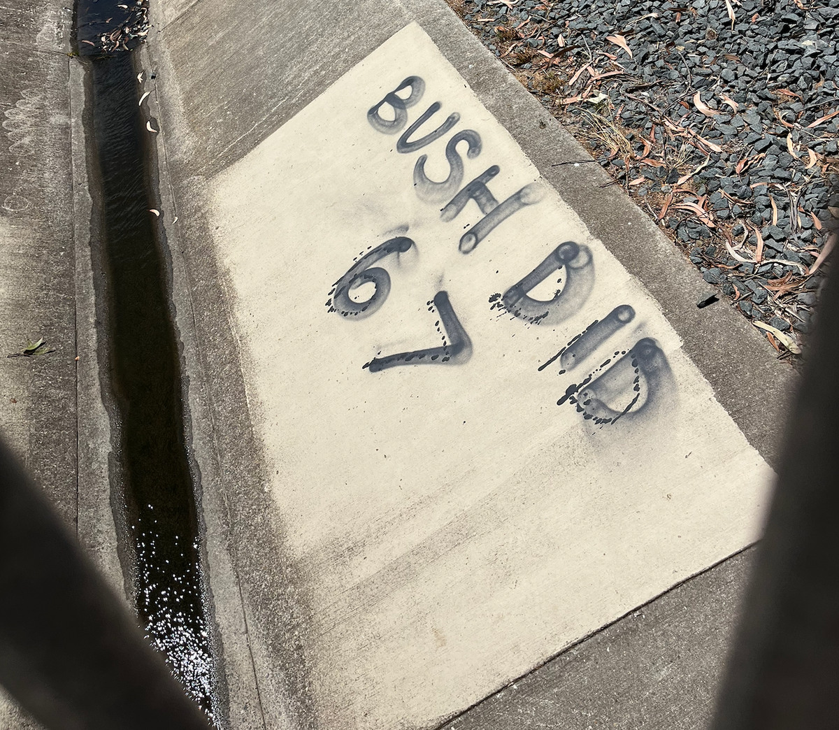 A concrete stormwater drain with "BUSH DID 6 7" graffitied on the side. A trickle of water in the bottom