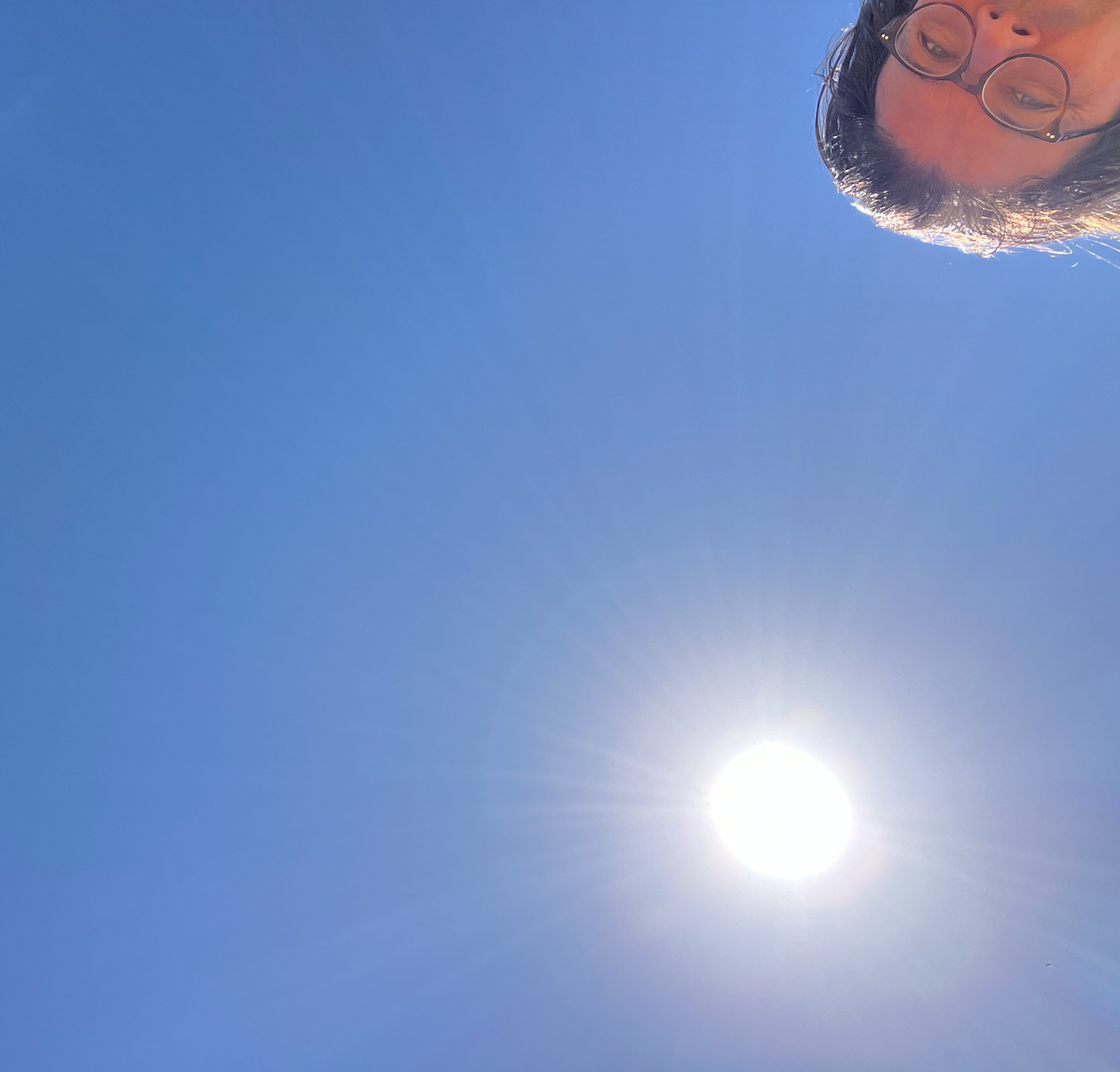 A deep blue Canberra summer sky, the sun shining painfully brightly, and my sweating head peeking in from the top corner, upside down